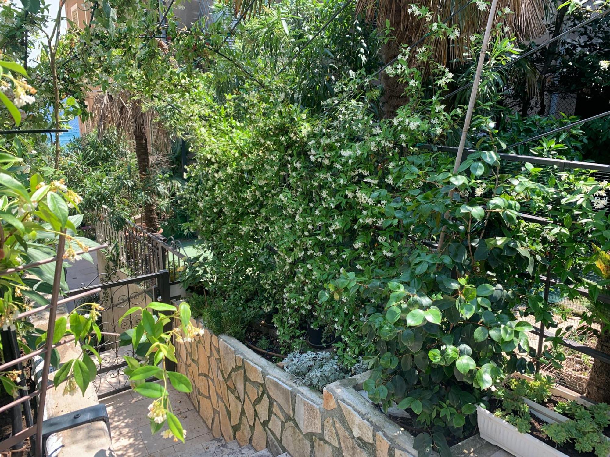 Artspace Location-Opatija-3 Bedroom House With Rooftop Garden By Beach Exterior foto
